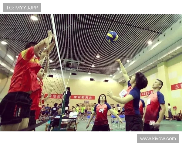 排球赛场二传手的大脑核心作用